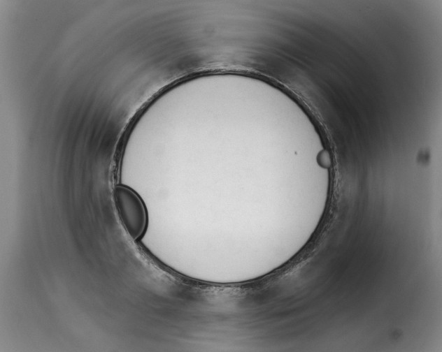 X0000114240893200911201131