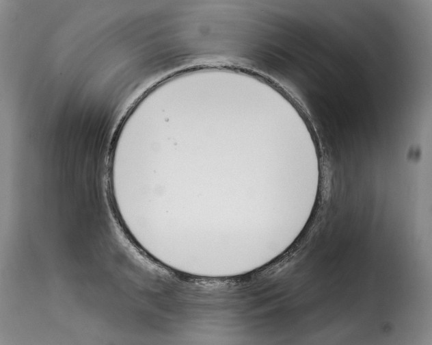 X0000114240895200911201131