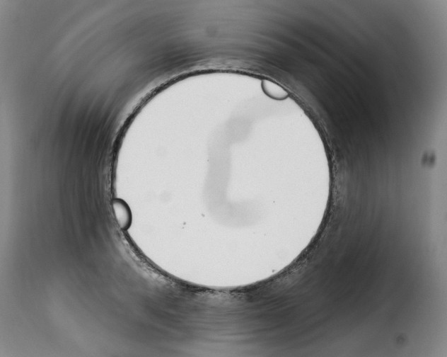 X0000114240896200911201130