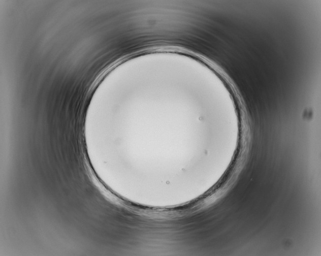 X0000114240897200911201130