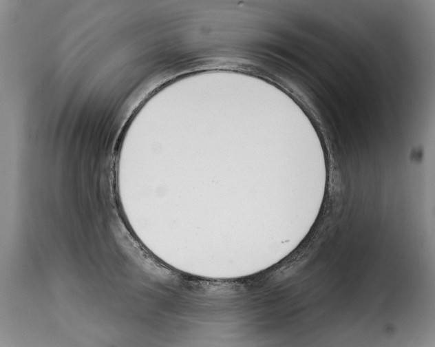 X0000114240899200911201130