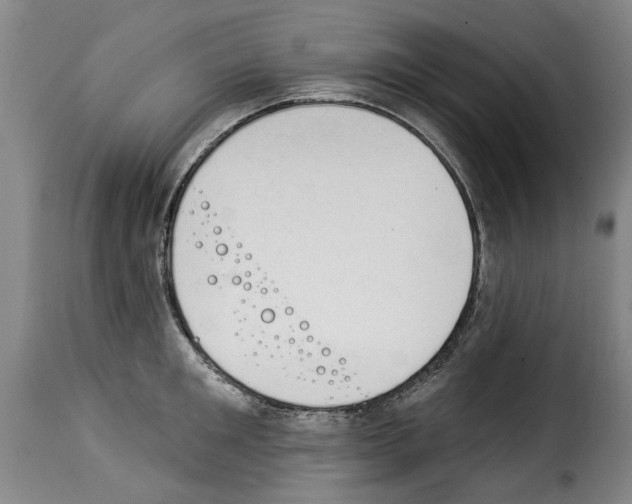 X0000114240901200911201130