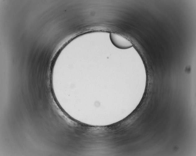 X0000114240902200911201130