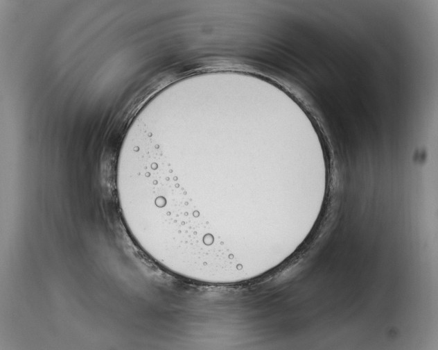 X0000114240905200911201130