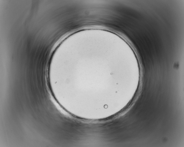 X0000114240909200911201130