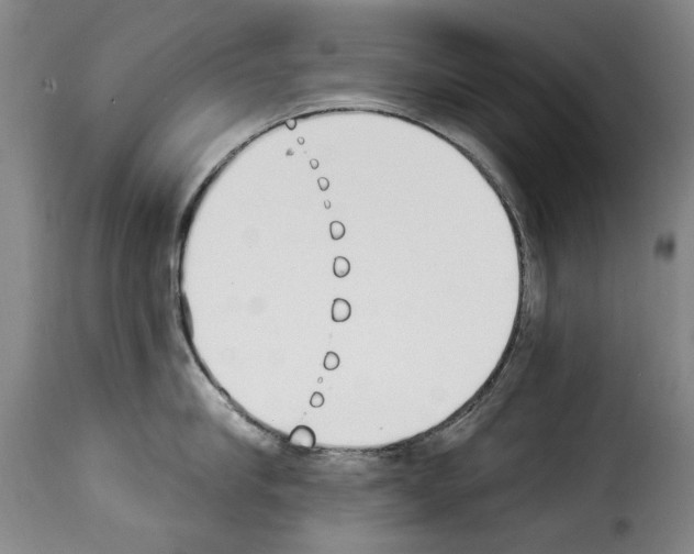 X0000114240910200911201130