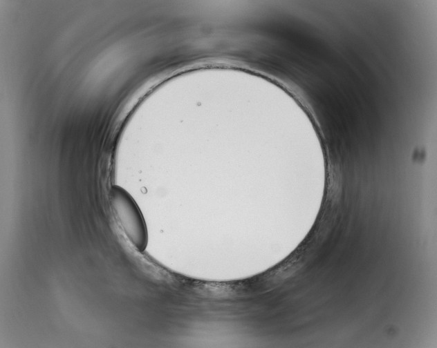 X0000114240911200911201130