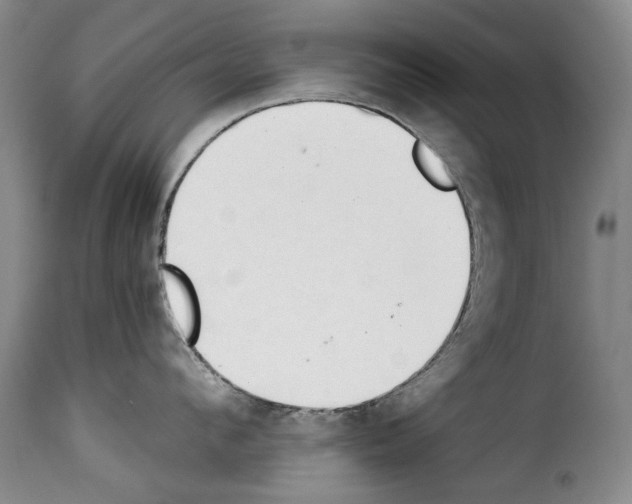 X0000114240912200911201130