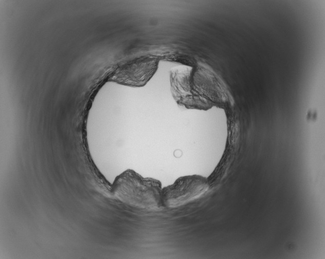 X0000114240913200911201129