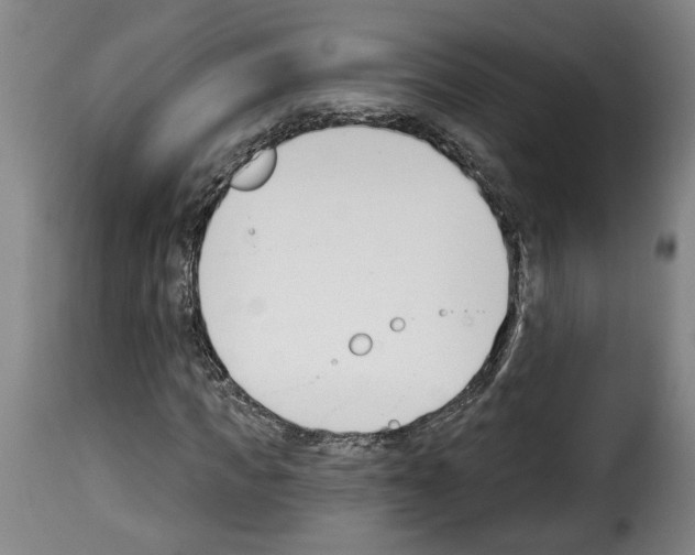 X0000114240917200911201129