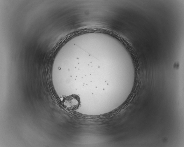 X0000114240918200911201130