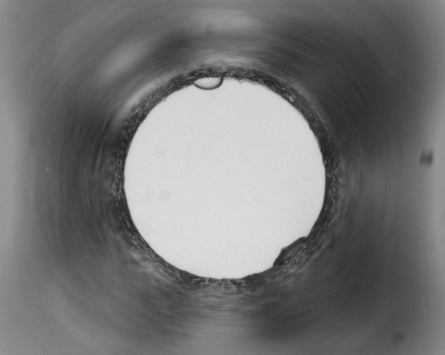 X0000114240919200911201130