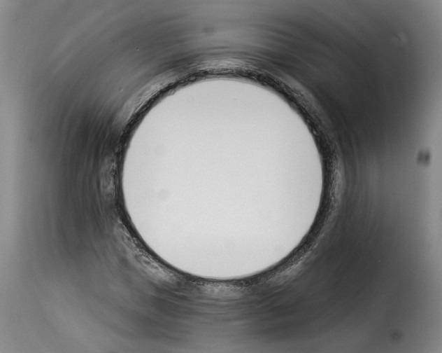 X0000114240921200911201130