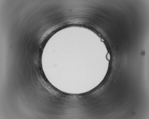 X0000114240922200911201130