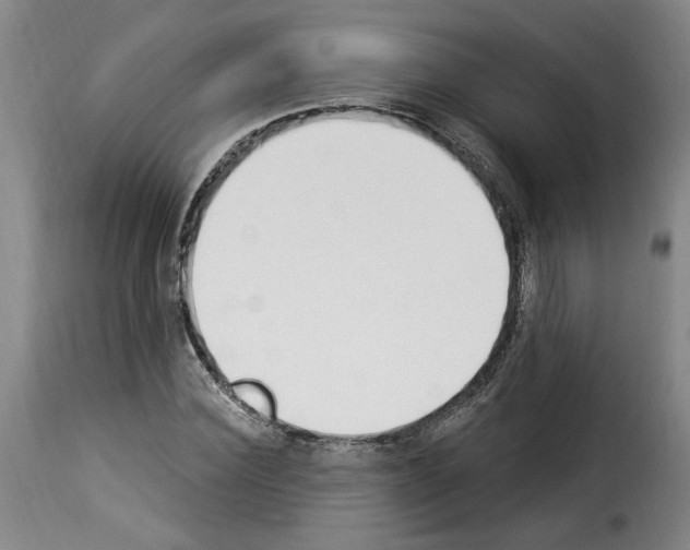 X0000114240924200911201130