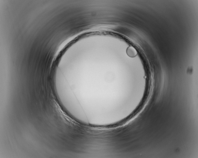 X0000114240925200911201130