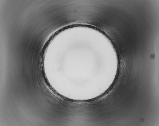 X0000114240926200911201130