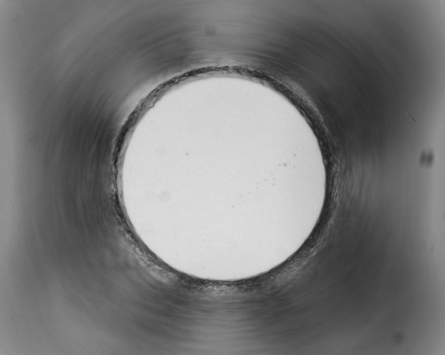 X0000114240927200911201130