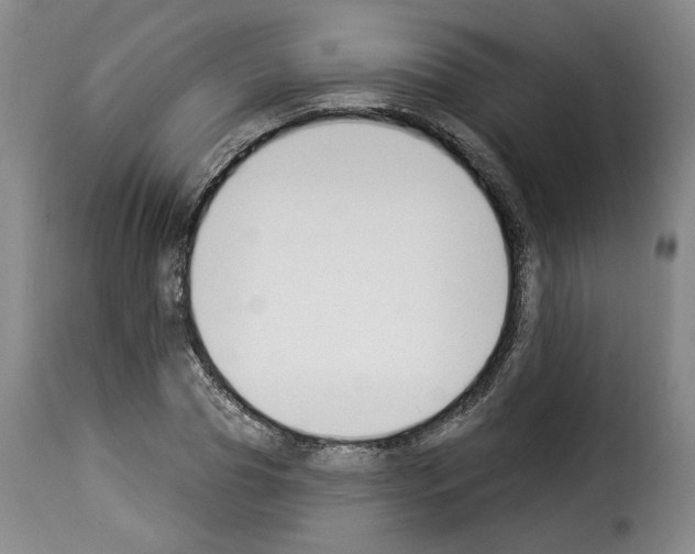 X0000114240929200911201130