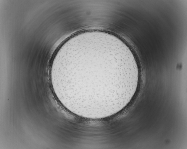 X0000114240933200911201130