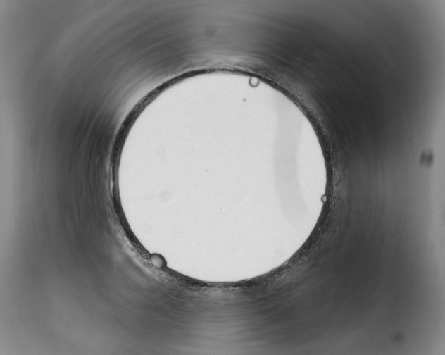 X0000114240936200911201130