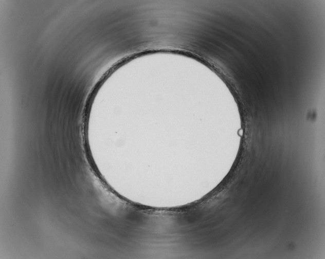 X0000114240942200911201130