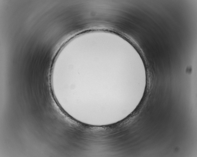 X0000114240943200911201130