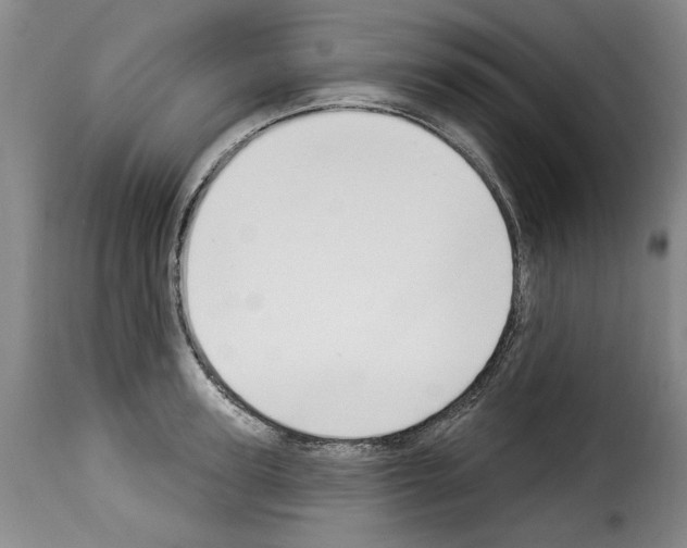 X0000114240947200911201130