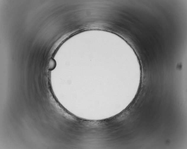 X0000114240949200911201130