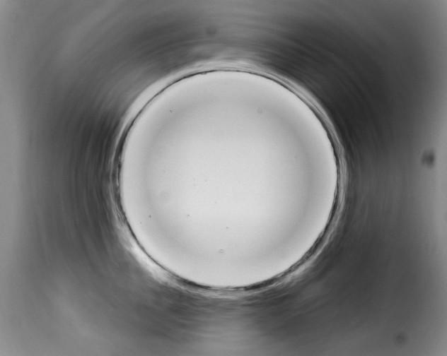 X0000114240956200911201130