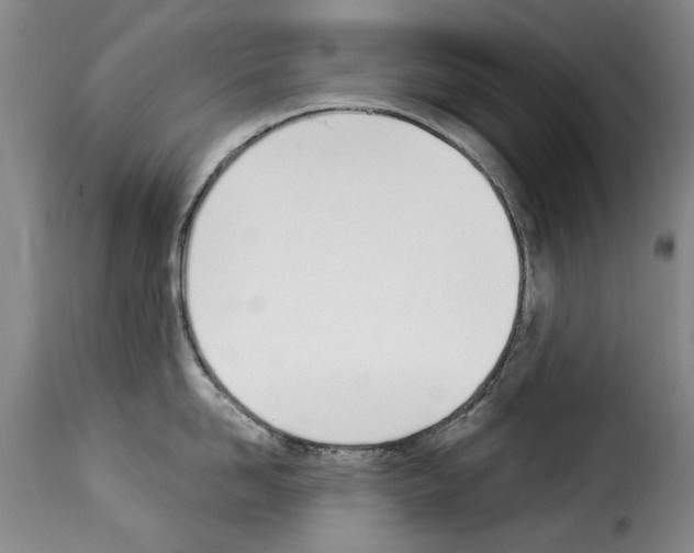 X0000114240958200911201130