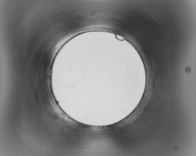 X0000114240960200911201130