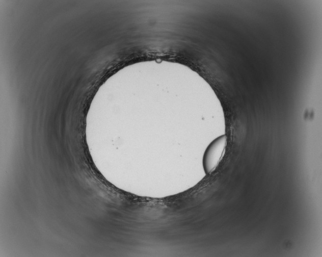 X0000114240961200911201129