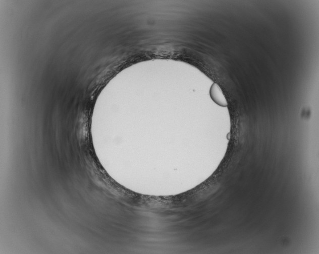 X0000114240962200911201129