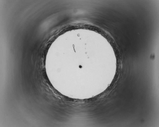 X0000114240965200911201129