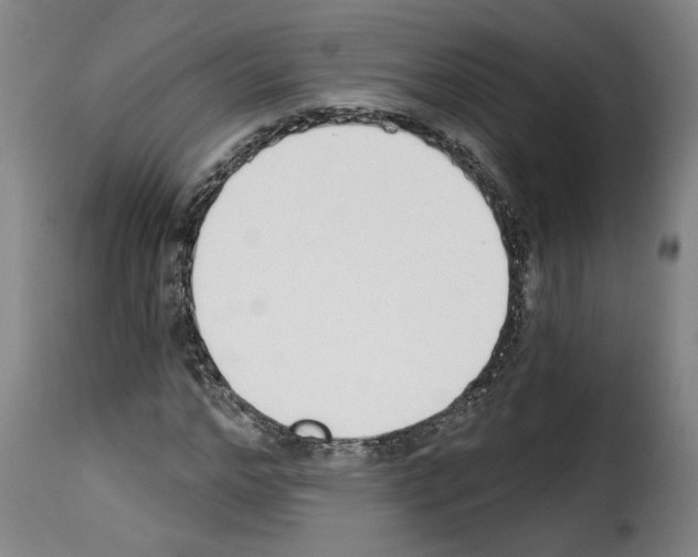 X0000114240968200911201129