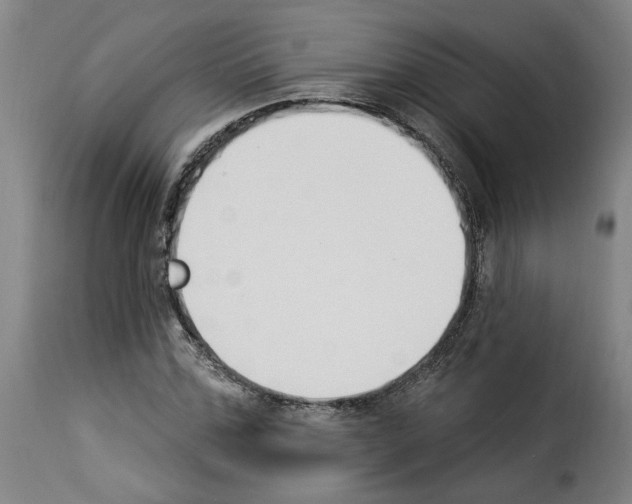 X0000114240971200911201129