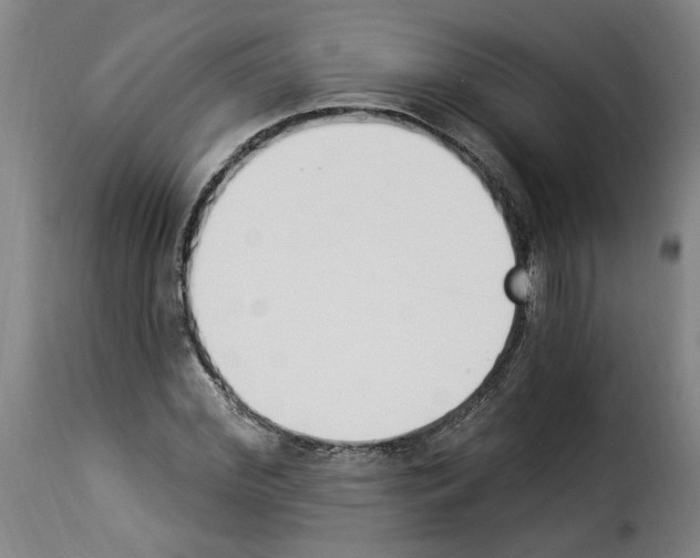 X0000114240972200911201129