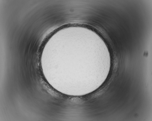 X0000114240974200911201129