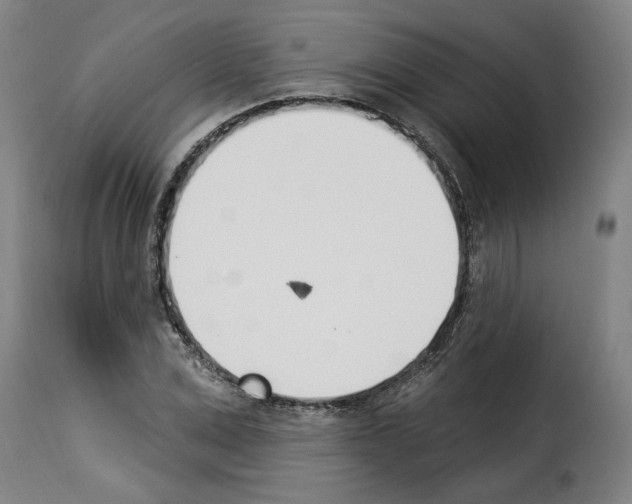 X0000114240975200911201129