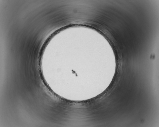 X0000114240976200911201129