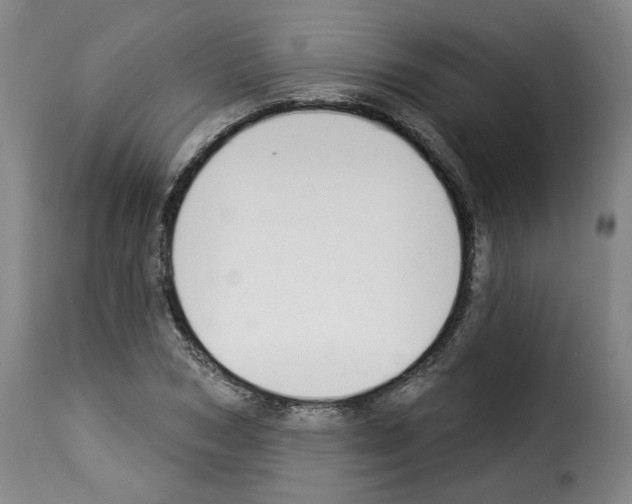 X0000114240978200911201129