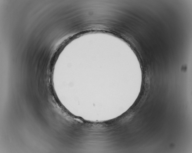 X0000114240979200911201129