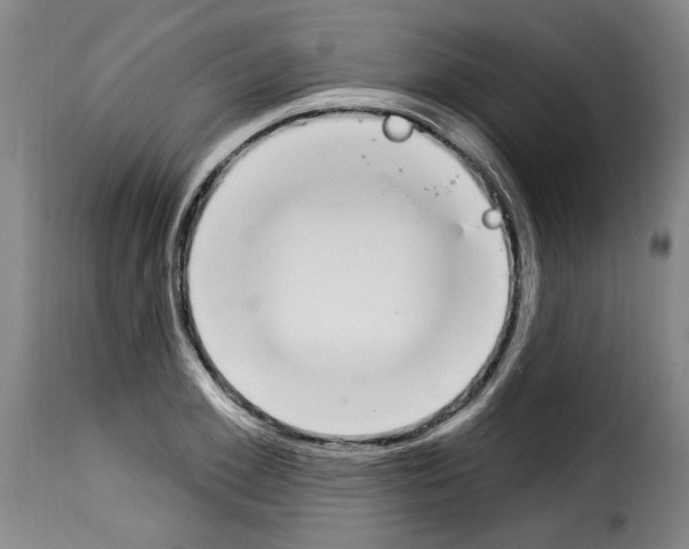 X0000114240981200911201129