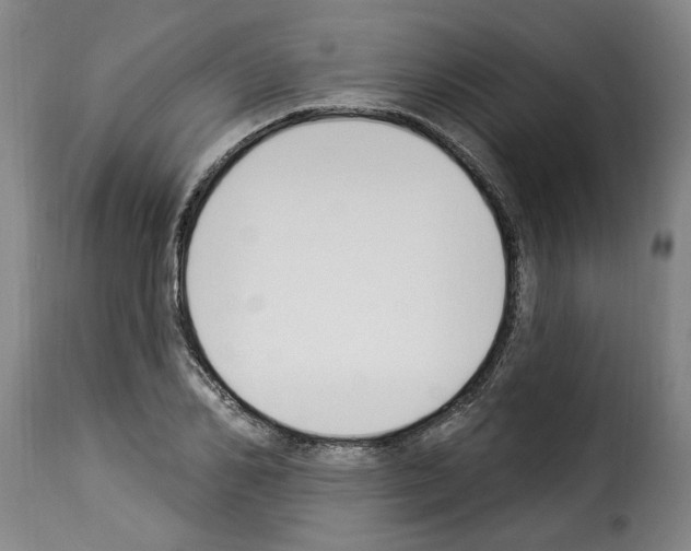 X0000114240982200911201129