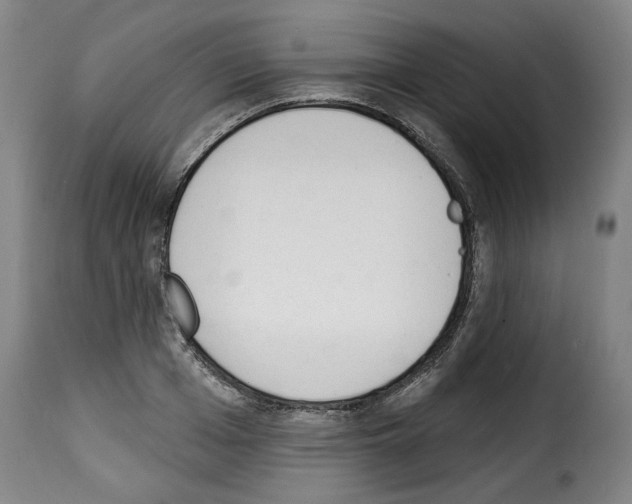 X0000114240985200911201129