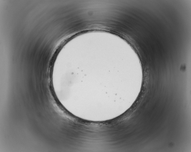 X0000114240987200911201129