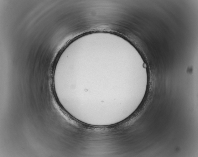 X0000114240989200911201129