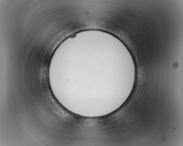 X0000114240993200911201129