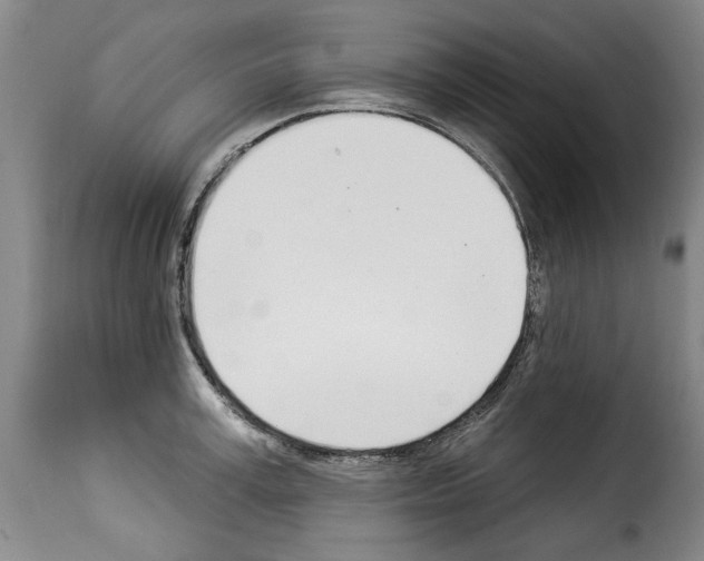 X0000114240995200911201129